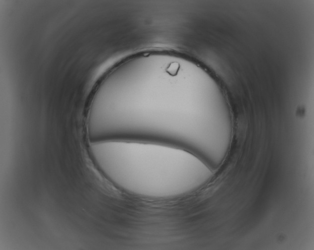 X0000093501412200710121033