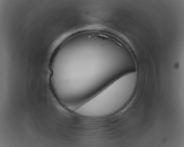 X0000093501414200710121033