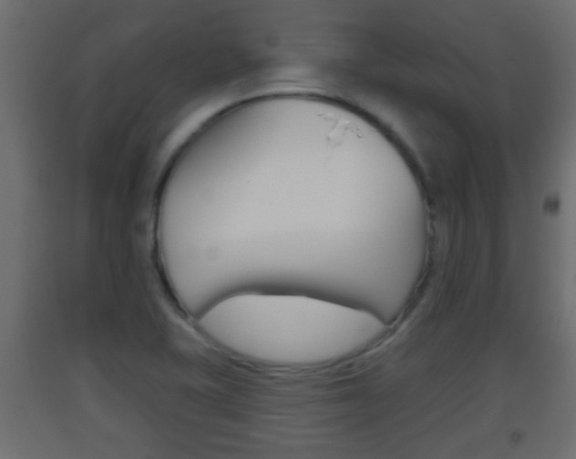 X0000093501415200710121033