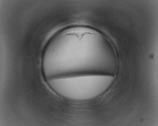 X0000093501416200710121033