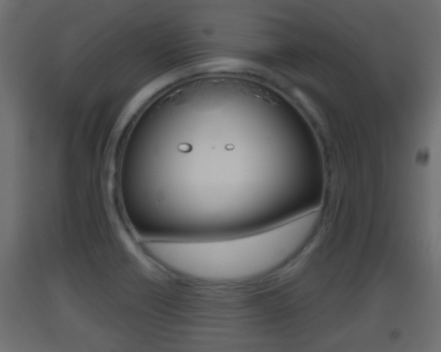 X0000093501418200710121034