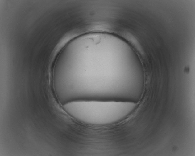 X0000093501419200710121034