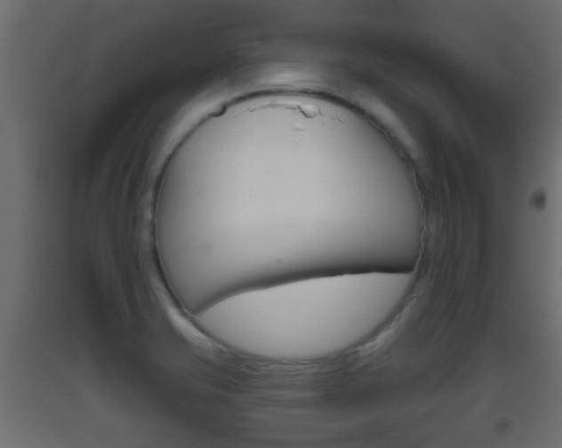 X0000093501421200710121034
