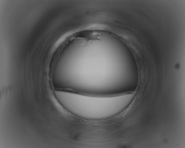 X0000093501422200710121034