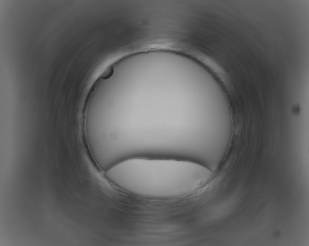X0000093501423200710121034