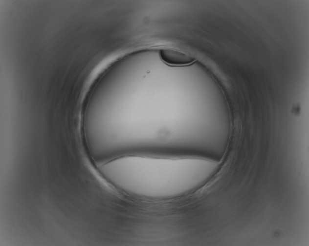 X0000093501424200710121034