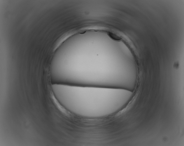 X0000093501425200710121034