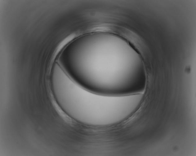 X0000093501426200710121034