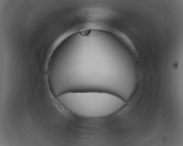 X0000093501427200710121034