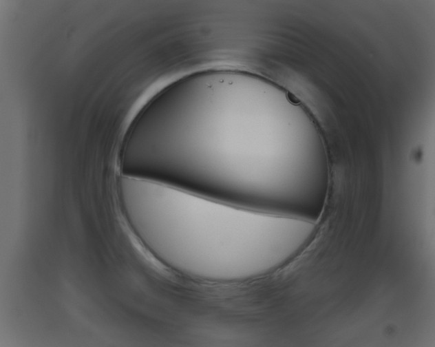 X0000093501428200710121034