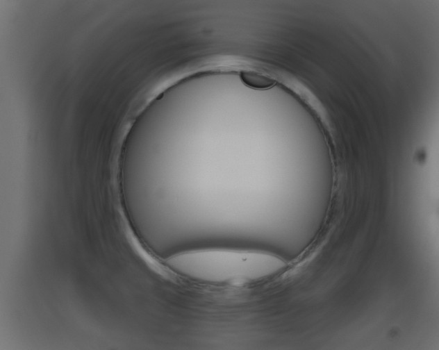 X0000093501429200710121034