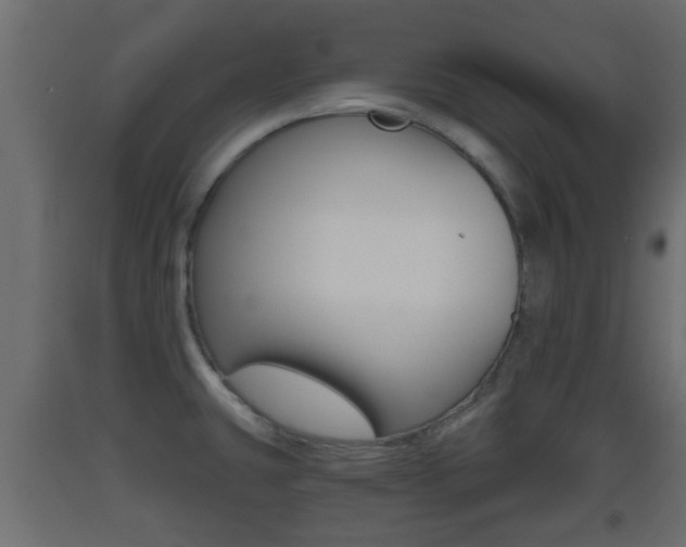 X0000093501431200710121034