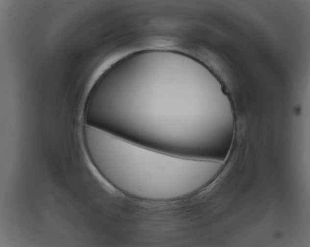 X0000093501432200710121034