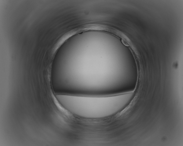 X0000093501433200710121034