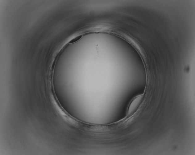X0000093501434200710121034