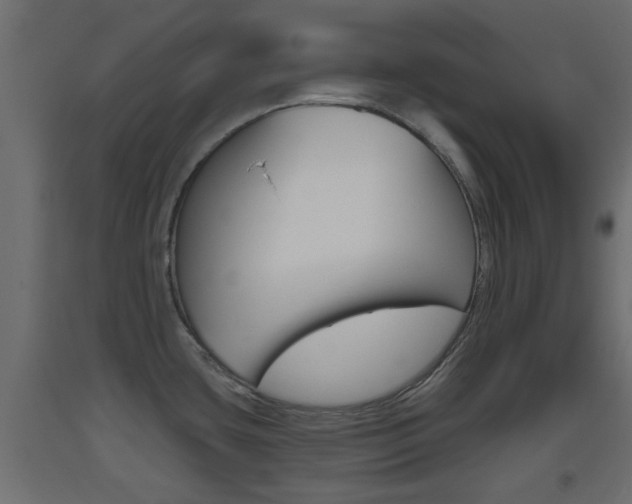 X0000093501435200710121034