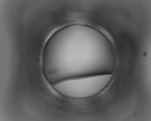 X0000093501436200710121034