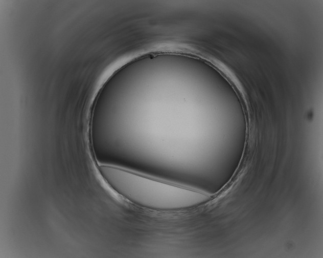 X0000093501437200710121034