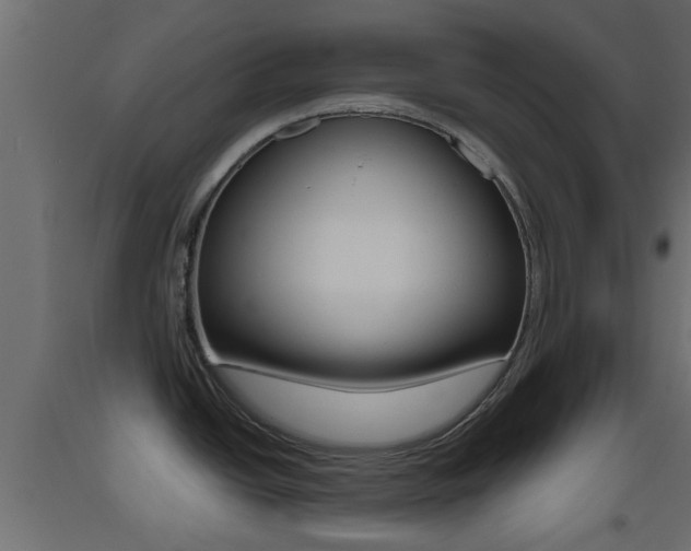 X0000093501438200710121034