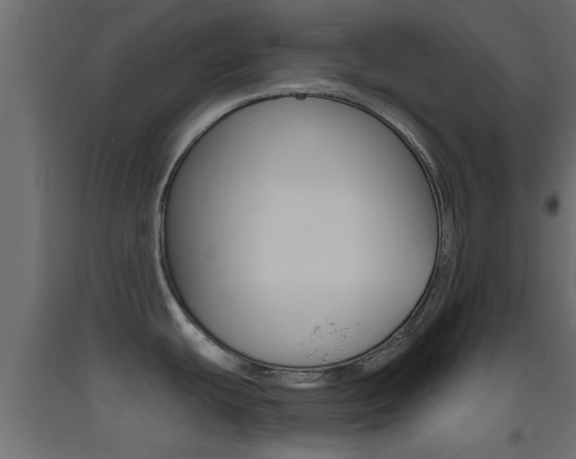 X0000093501439200710121034