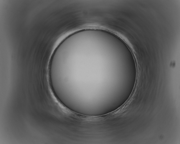 X0000093501440200710121034