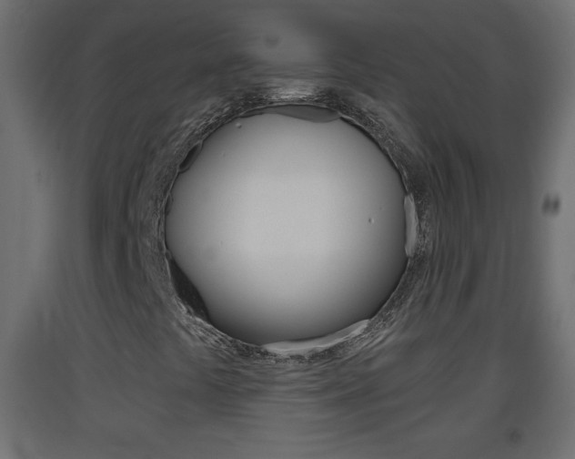 X0000093501441200710121033