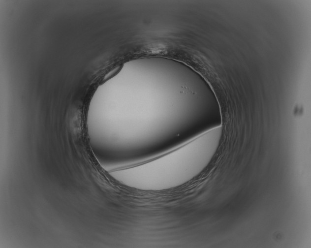 X0000093501442200710121033