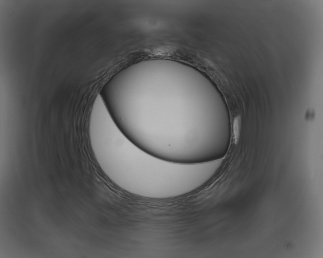 X0000093501443200710121033