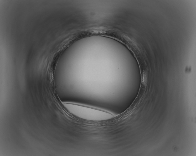 X0000093501444200710121033