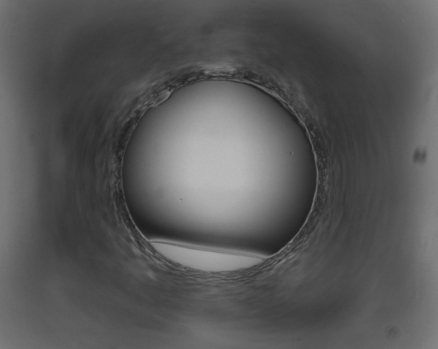 X0000093501445200710121033