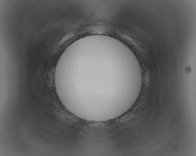 X0000093501446200710121033
