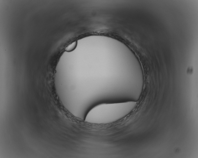 X0000093501447200710121033