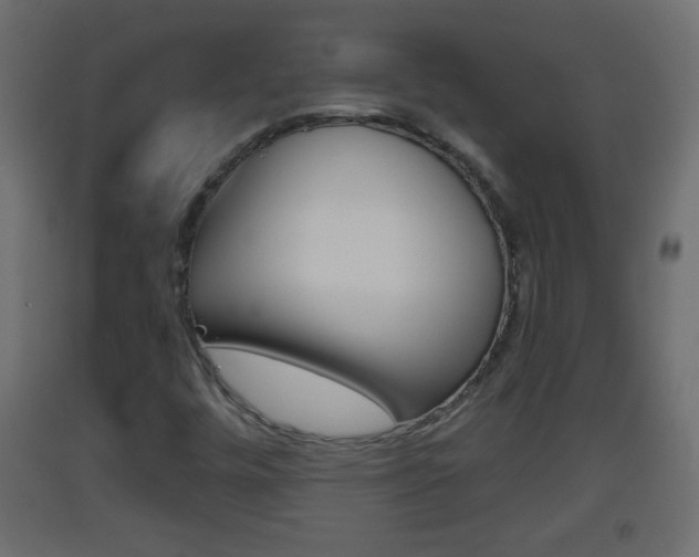 X0000093501448200710121033
