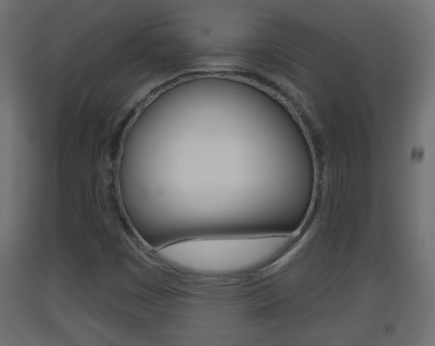 X0000093501449200710121033
