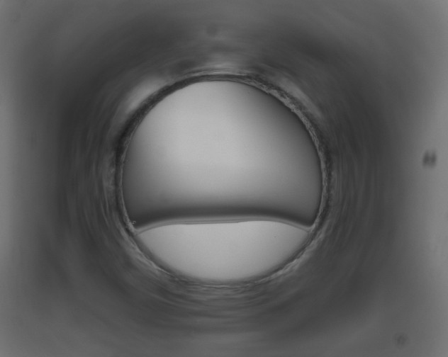 X0000093501450200710121033