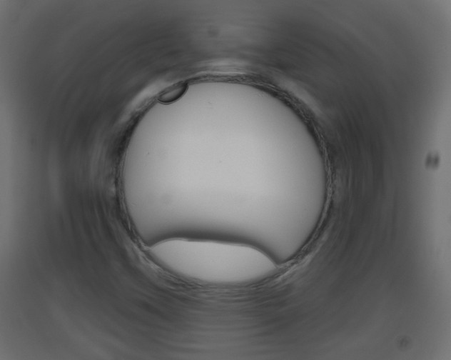 X0000093501451200710121033
