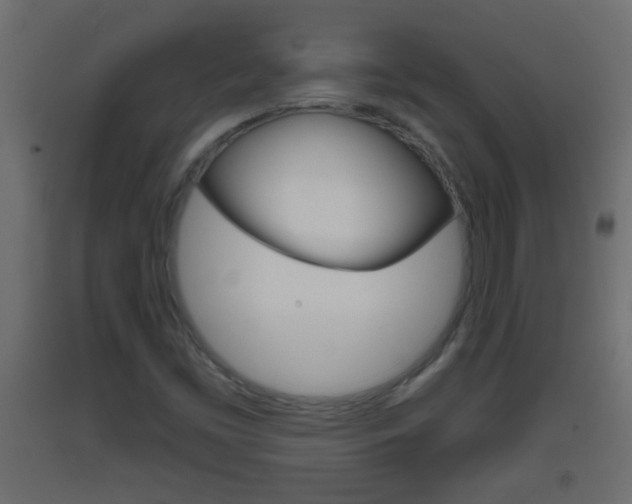 X0000093501453200710121033