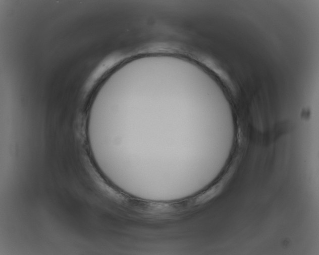 X0000093501454200710121033
