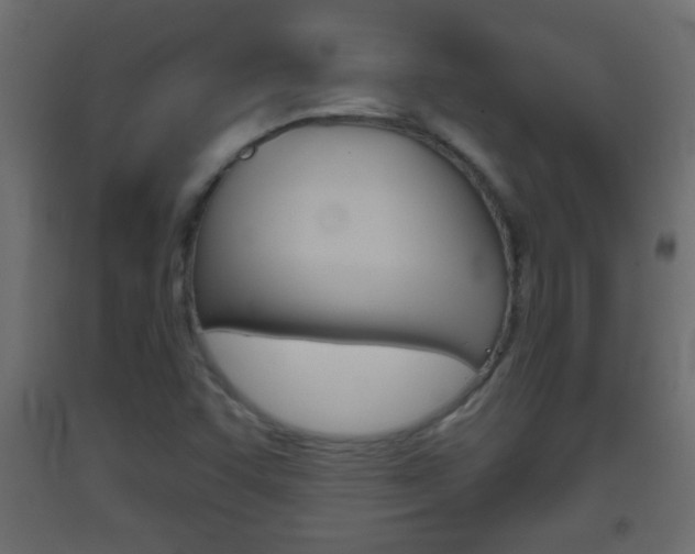 X0000093501455200710121033