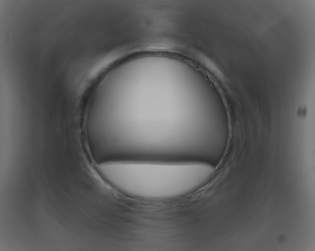 X0000093501456200710121033