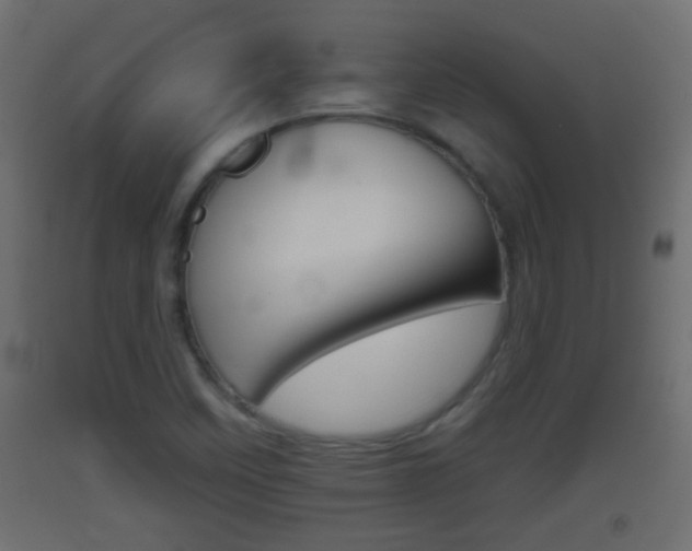 X0000093501458200710121033