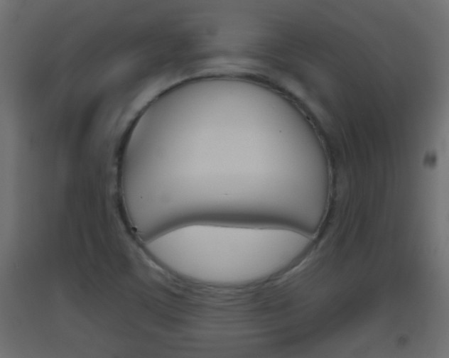X0000093501459200710121033