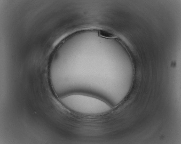 X0000093501460200710121033