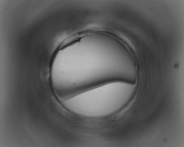 X0000093501461200710121033