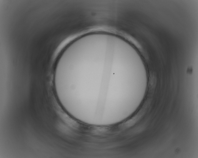 X0000093501462200710121033