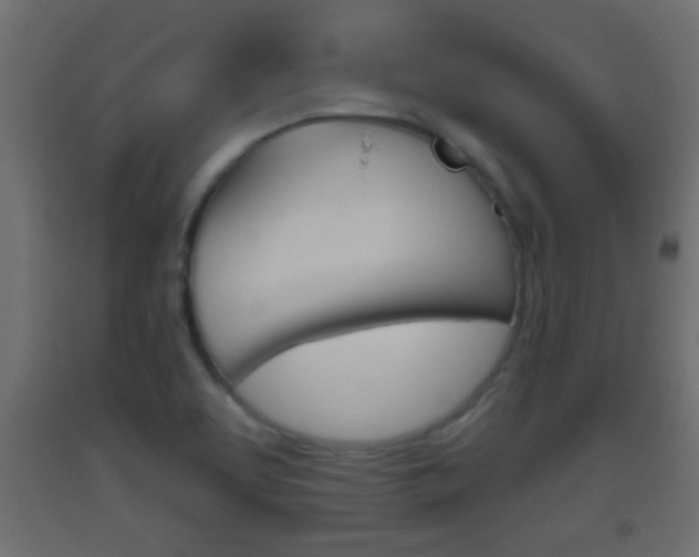 X0000093501463200710121033