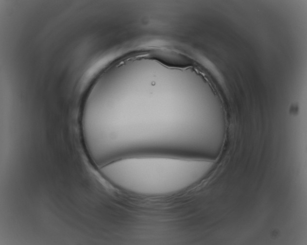 X0000093501464200710121033