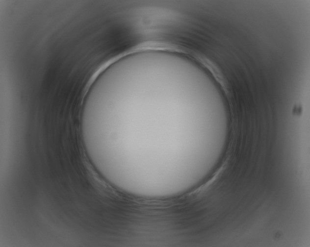 X0000093501465200710121033