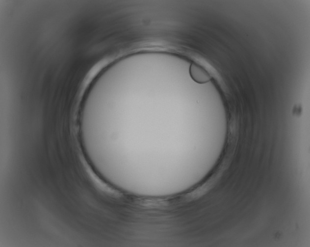 X0000093501466200710121033