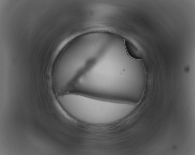 X0000093501468200710121033
